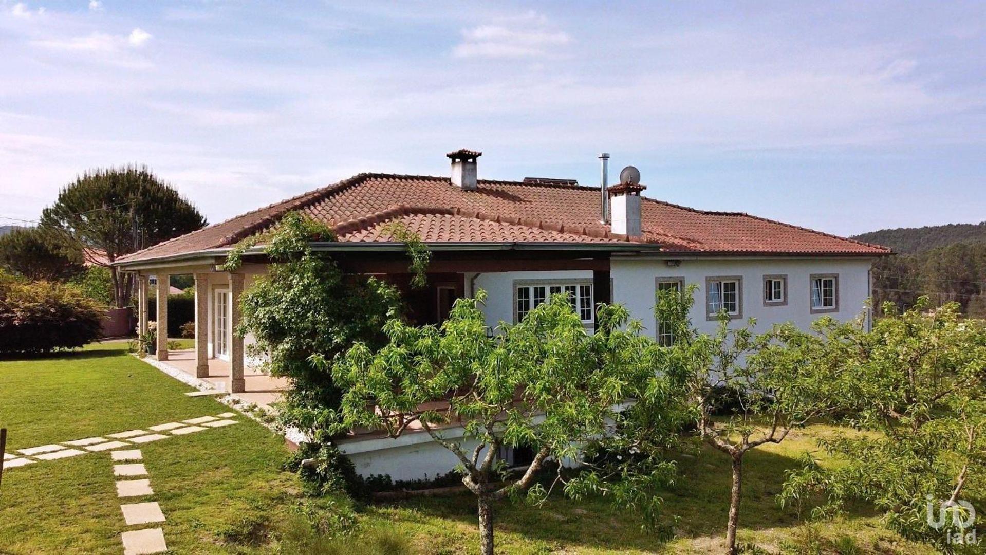 Casa Rua Do Capitao Homestay